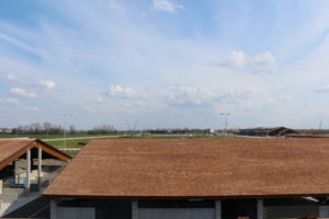 kanadský šindeľ