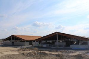 pohľad čelný