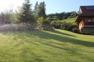 záhrada